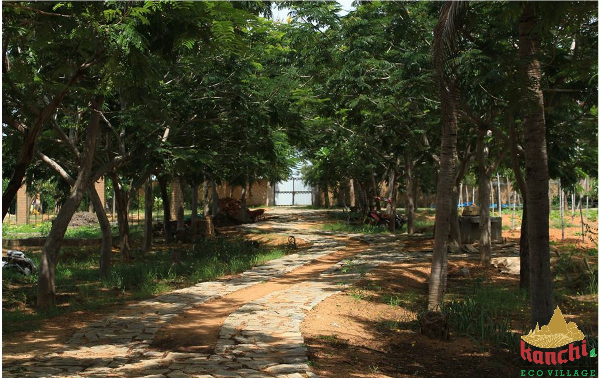 Existing tree lined avenue