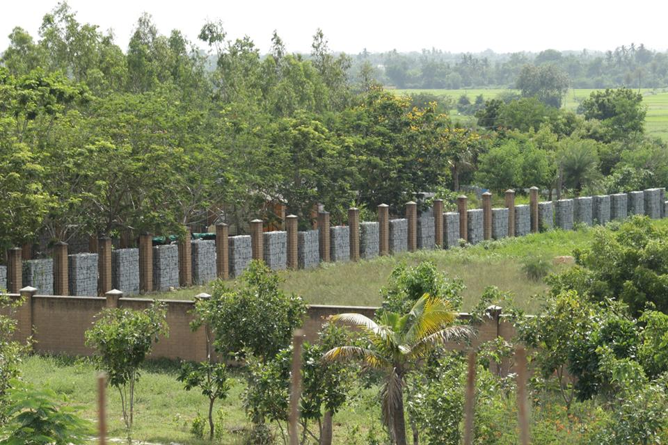 Landscape and boundary