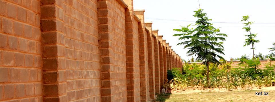 Mud block wall