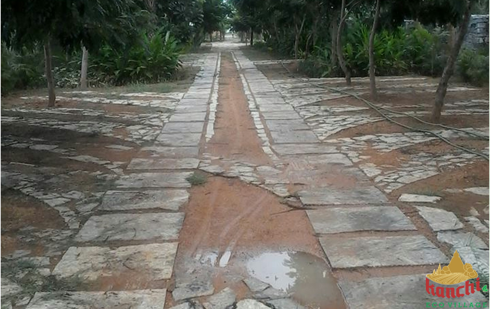 Stone pathway